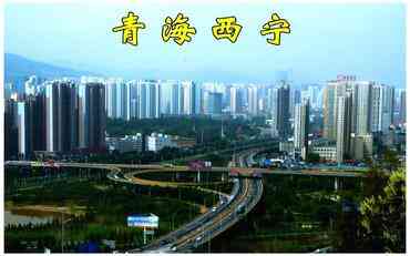 西寧智慧校園平臺建設：讓高原教育更智能更便捷?